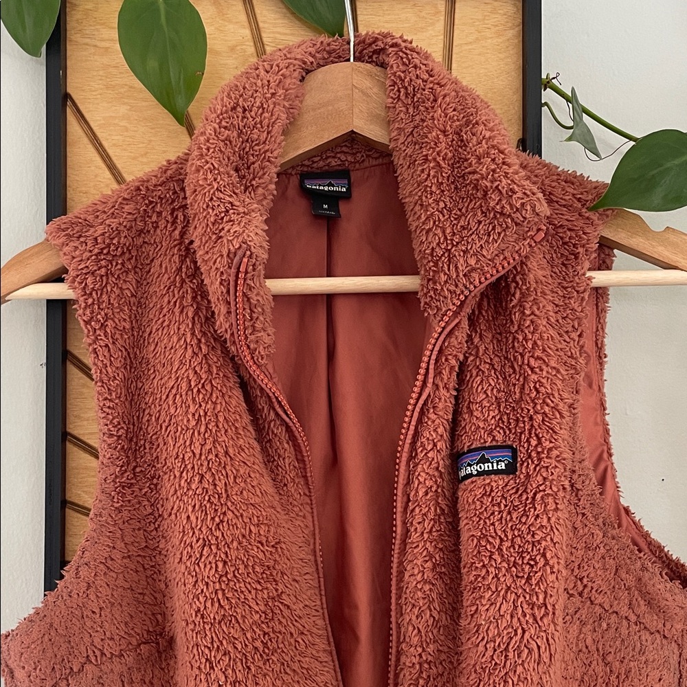 Patagonia Los Gatos Fleece Vest